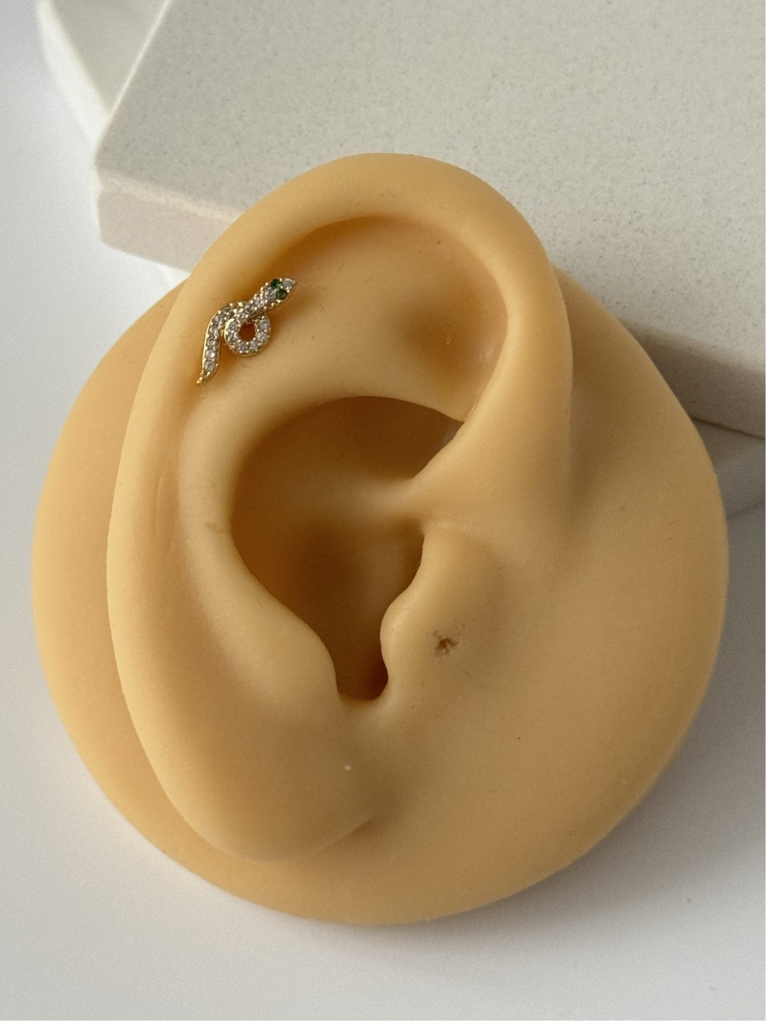 YILAN TRAGUS PİERCİNG