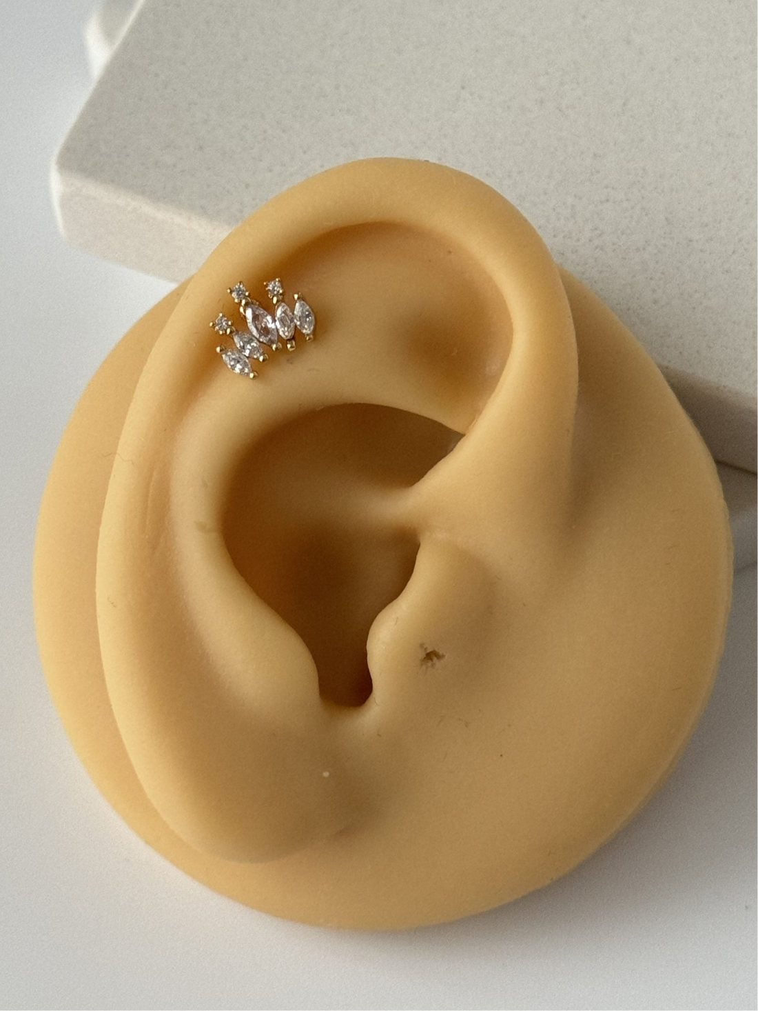 TAŞLI TRAGUS PİERCİNG