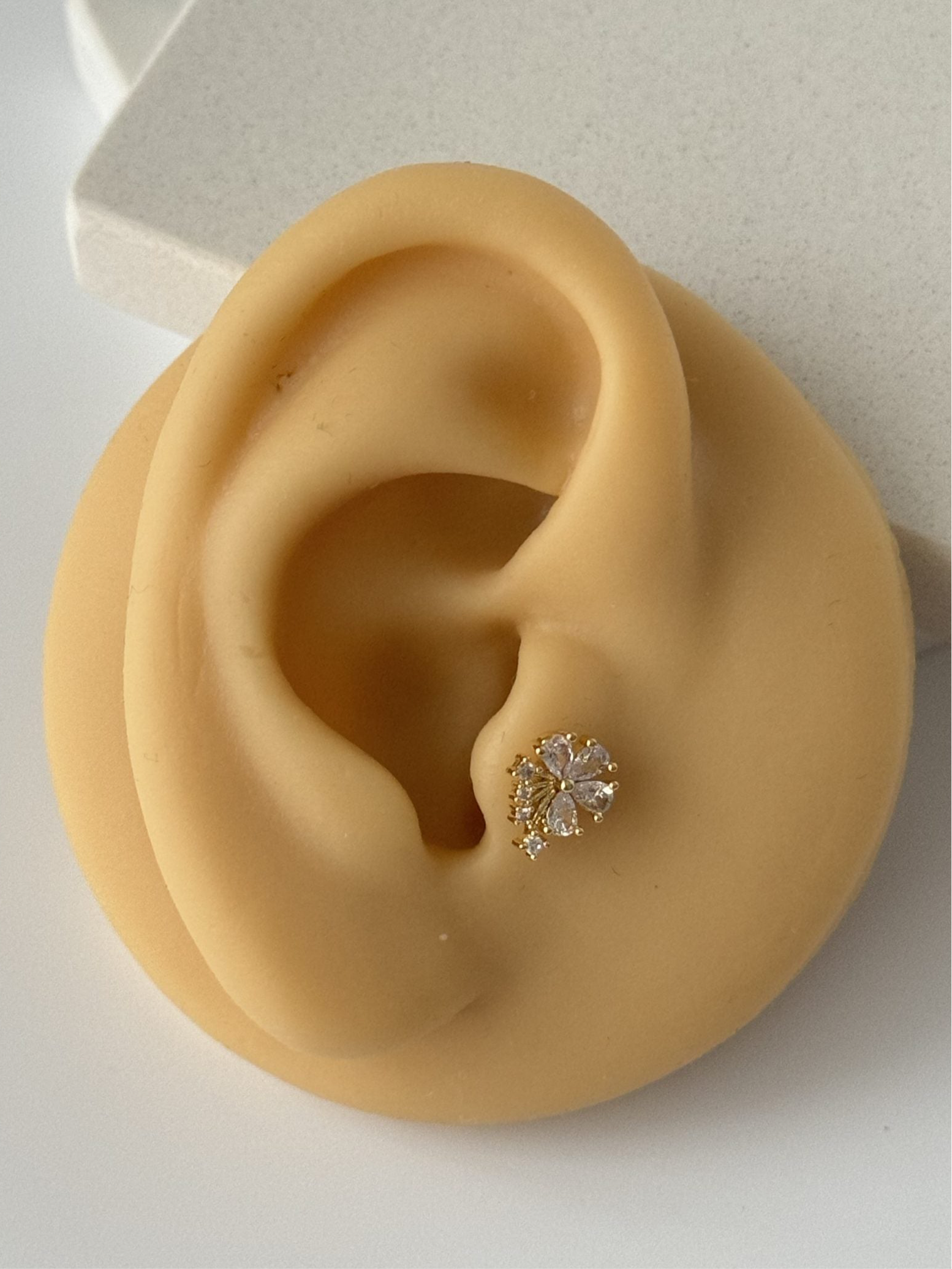 PAPATYA TRAGUS PİERCİNG