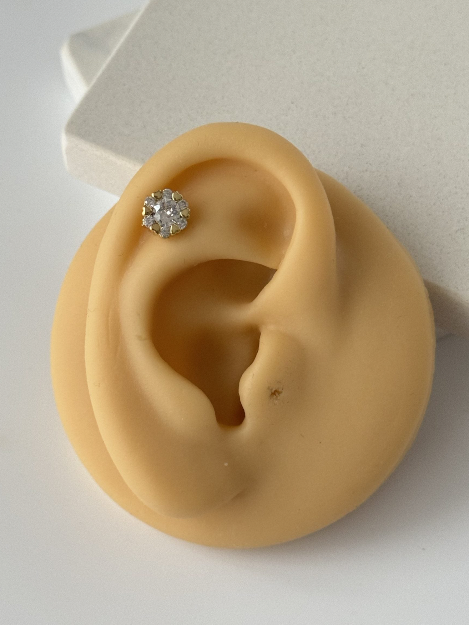 KALP DETAYLI TRAGUS PİERCİNG