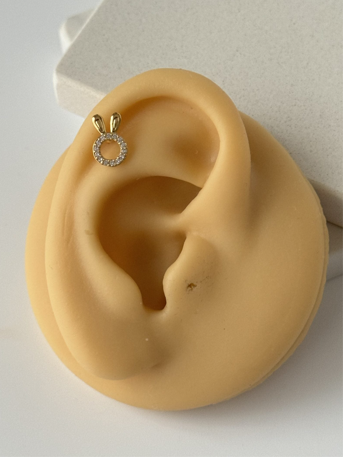 TAVŞAN TRAGUS PİERCİNG