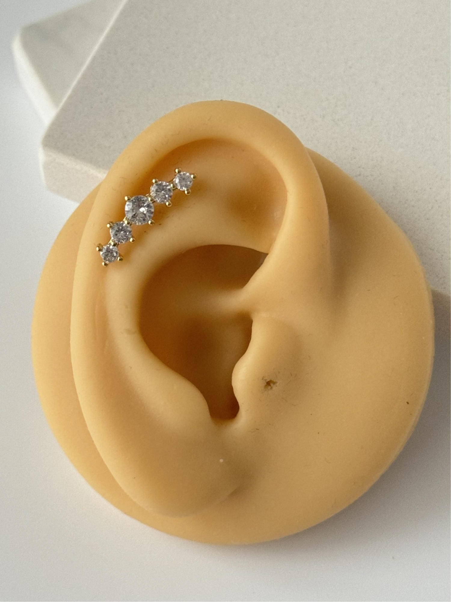 TAŞLI TRAGUS PİERCİNG