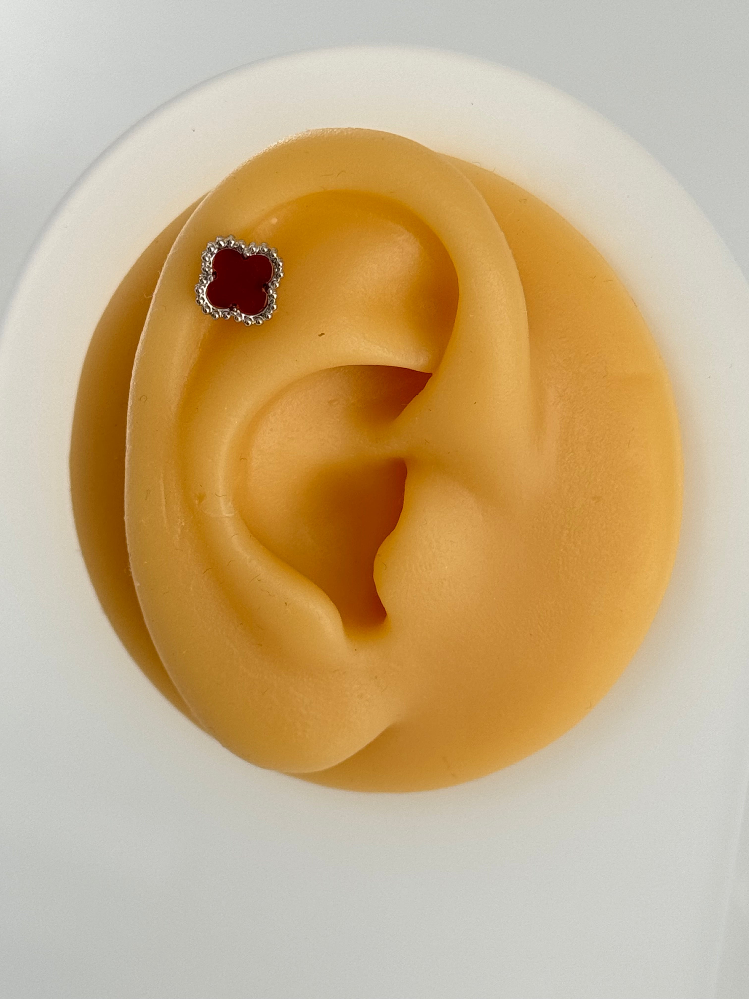 İTHAL BORDO RENKLİ SİLVER YONCA MARKA MODEL PİERCİNG