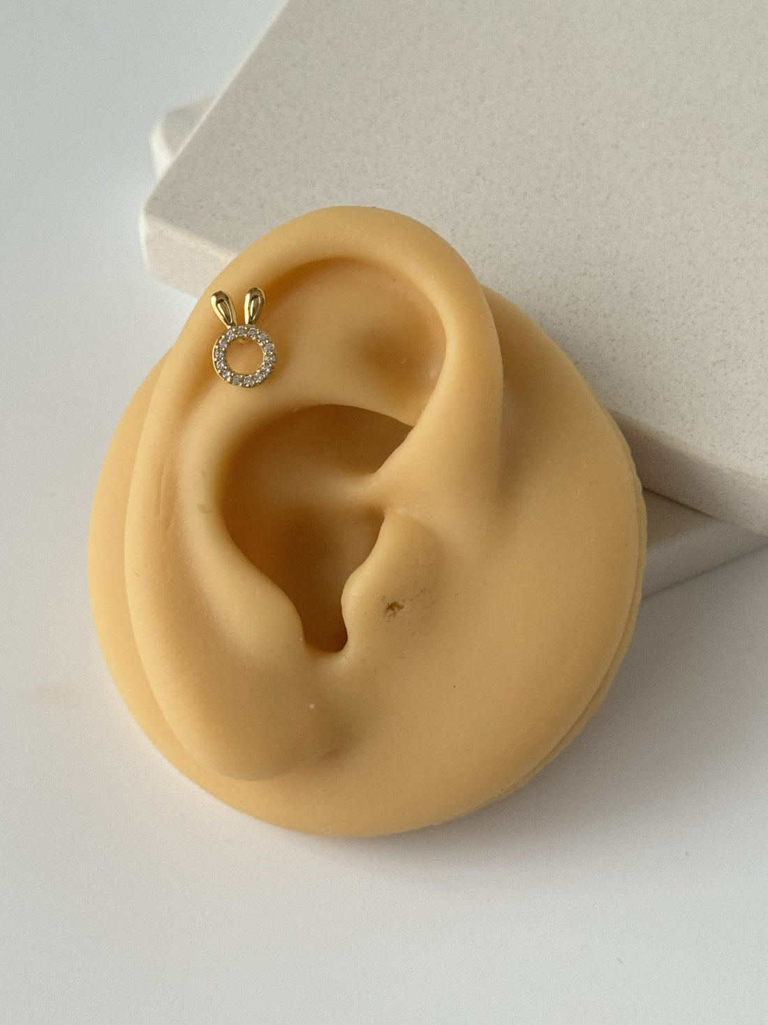 TAVŞAN TRAGUS PİERCİNG