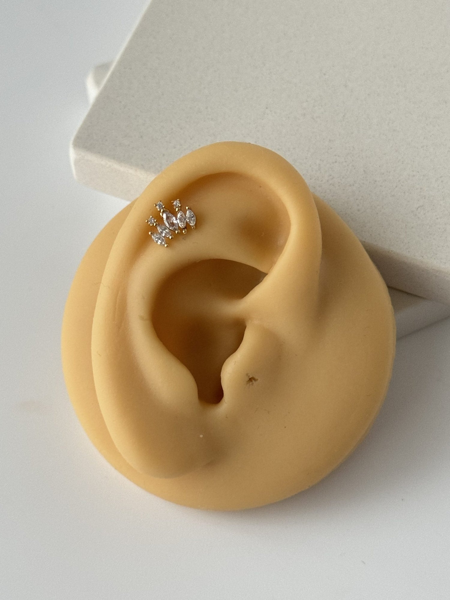 TAŞLI TRAGUS PİERCİNG