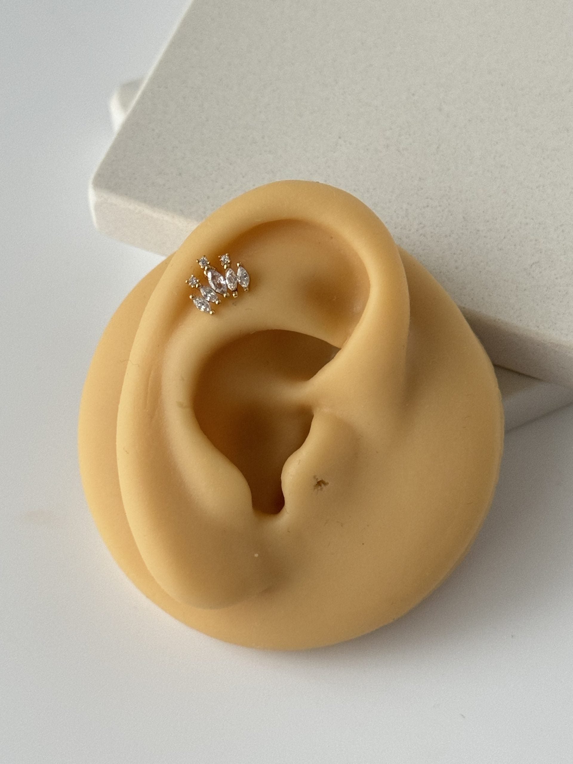 TAŞLI TRAGUS PİERCİNG