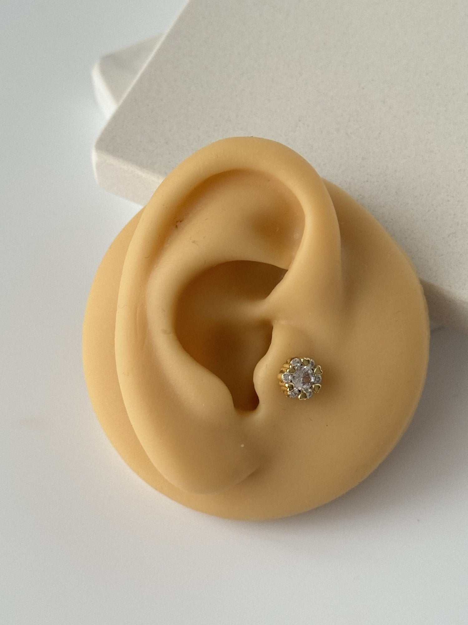 KALP DETAYLI TRAGUS PİERCİNG