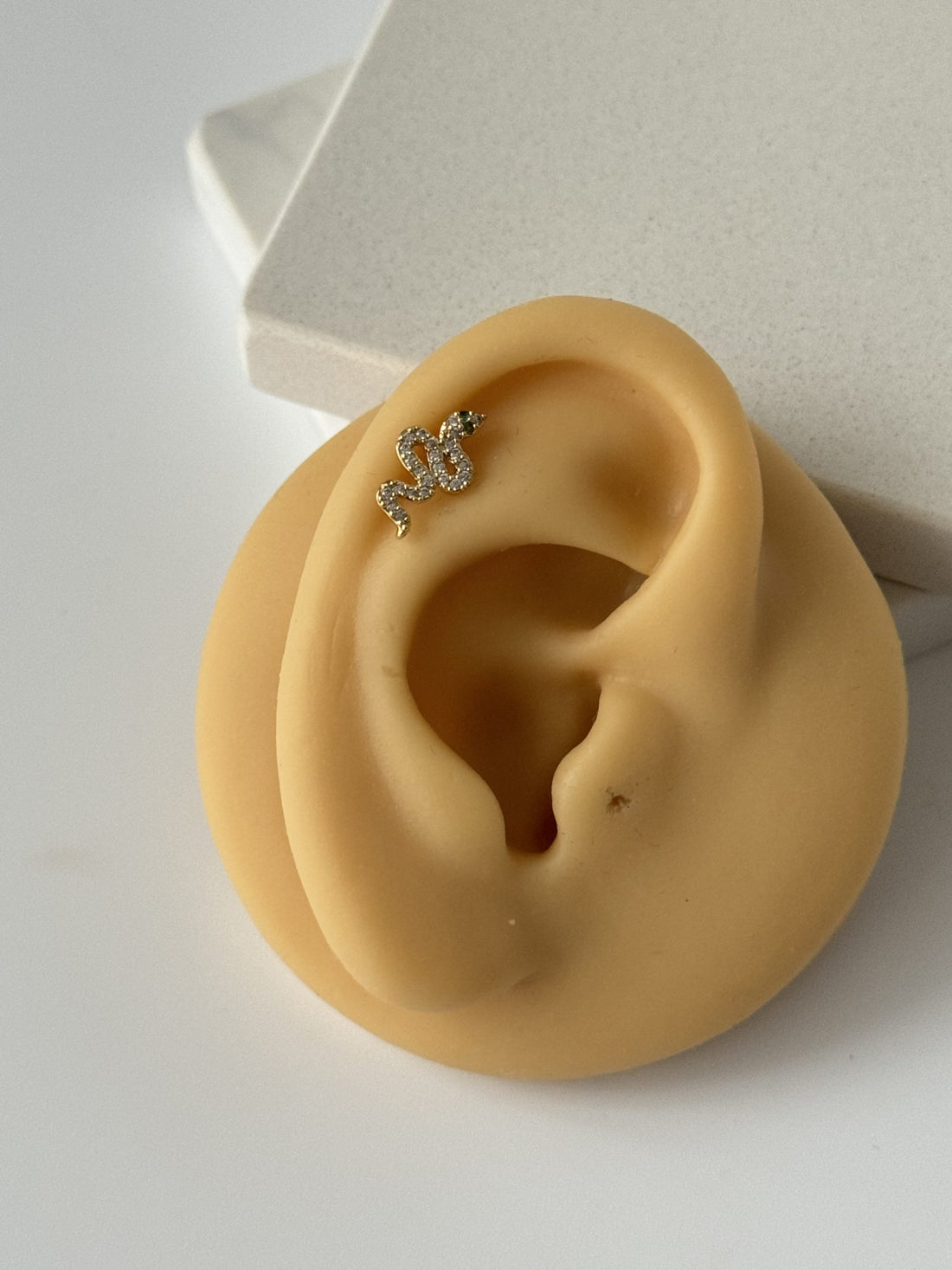 YILAN TRAGUS PİERCİNG