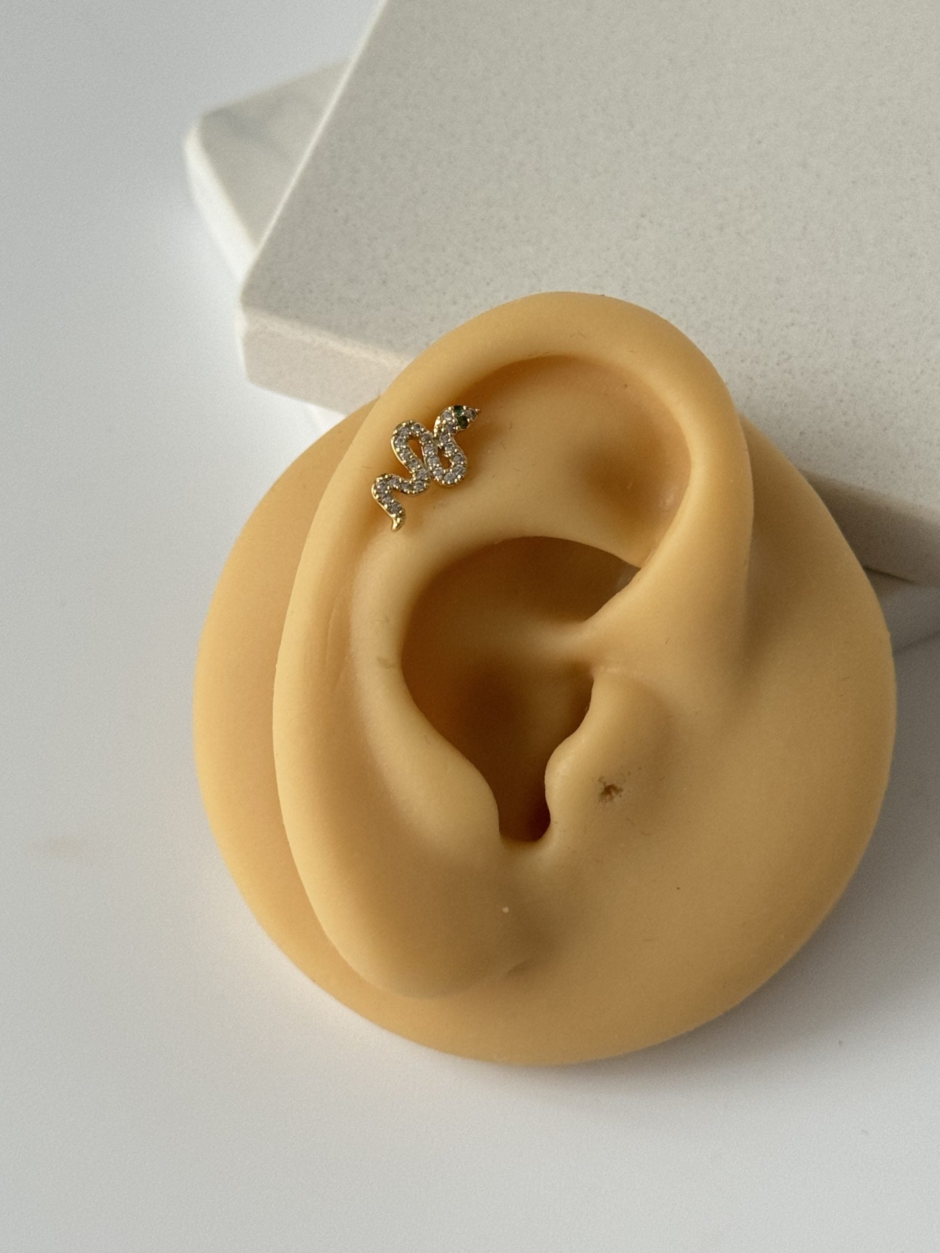 YILAN TRAGUS PİERCİNG