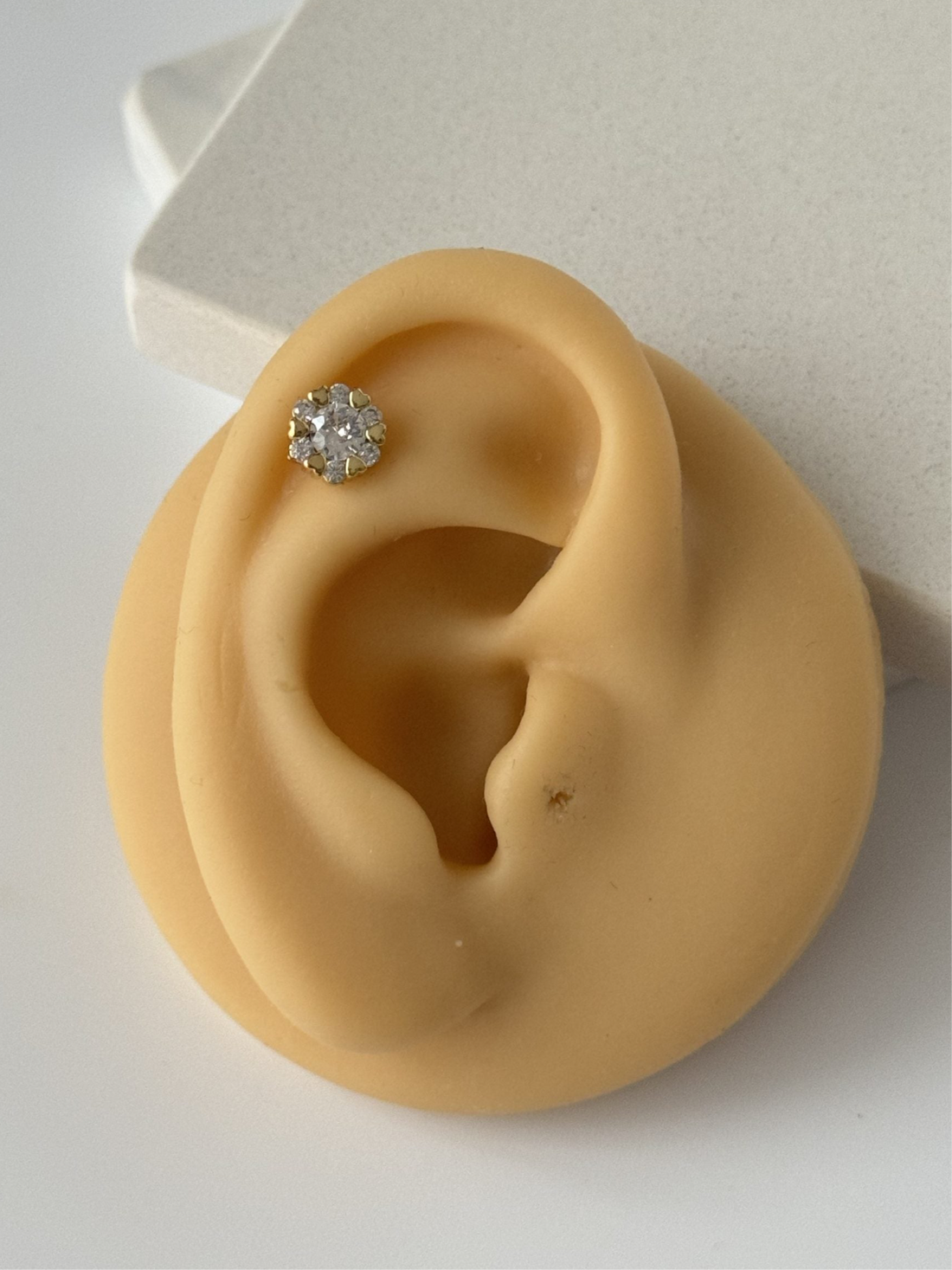 KALP DETAYLI TRAGUS PİERCİNG