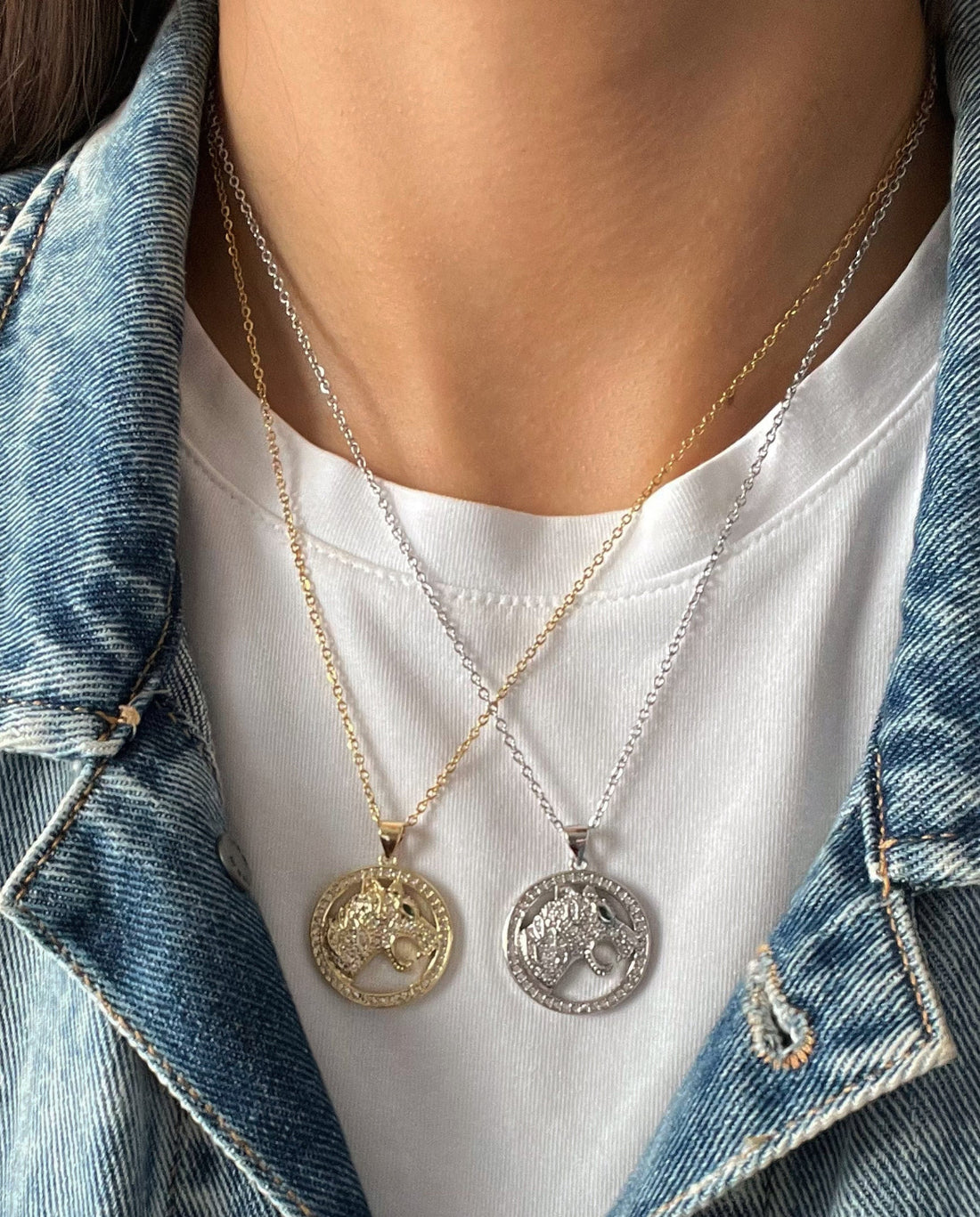 KAPLAN DETAYLI OVAL FORM ÇELİK SİLVER KOLYE